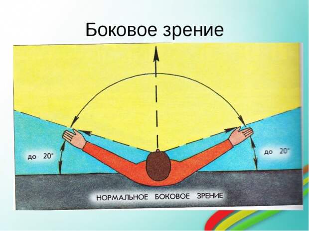 Боковое зрение очень слабо.