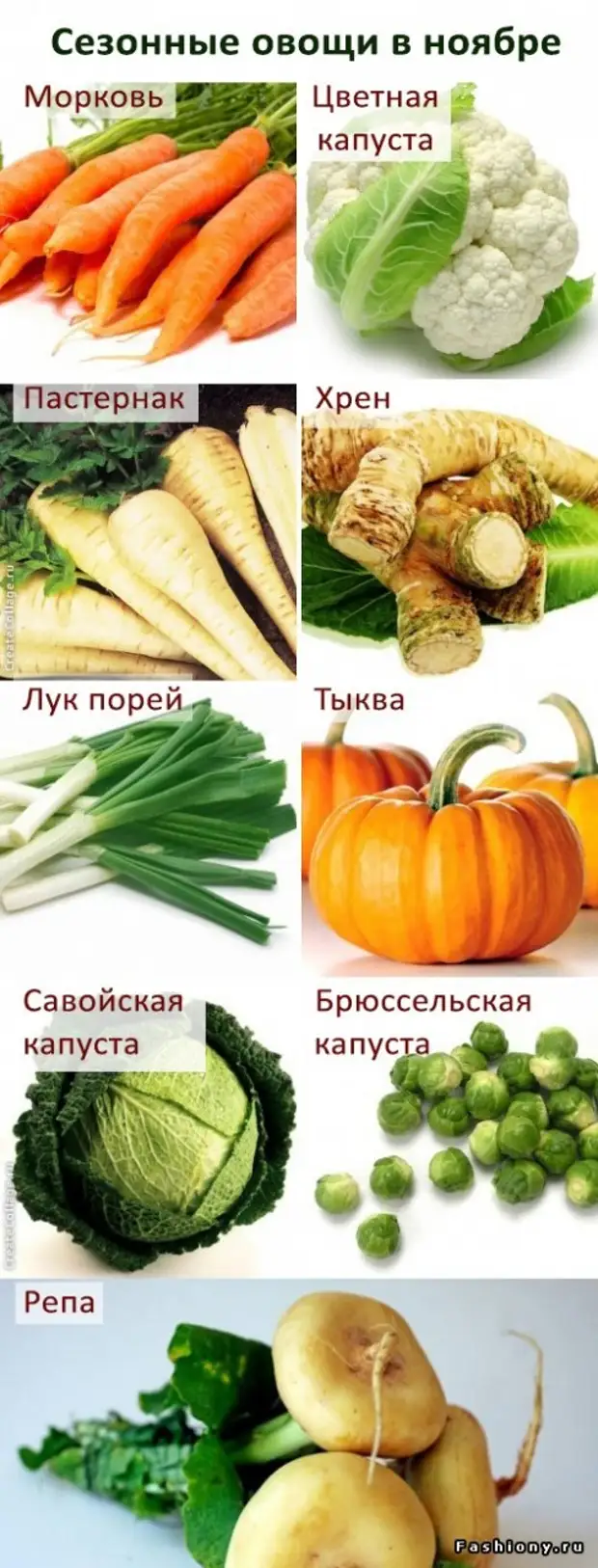 Овощи ноябрь. Сезонные овощи. Сезонность овощей. Сезонные фрукты. Сезонные фрукты и овощи по месяцам.