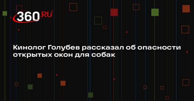 Кинолог Голубев рассказал об опасности открытых окон для собак