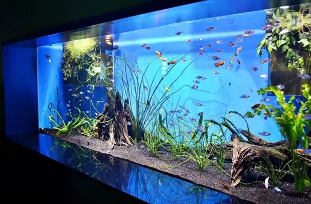 Фото вариантов оформления аквариумов: примеры различных стилей оформления (растениями, кораллами…)