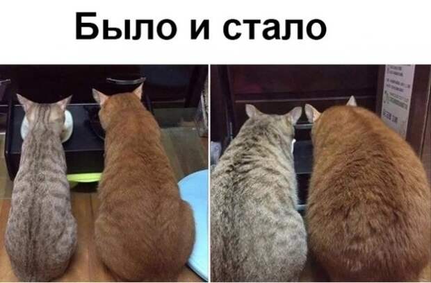 инторнэтное насобиралово