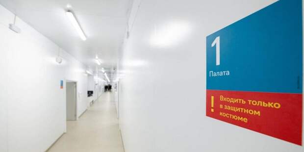 Депутат Мосгордумы отметила необходимость строгого контроля за выявленными больными COVID-19 / Фото: mos.ru