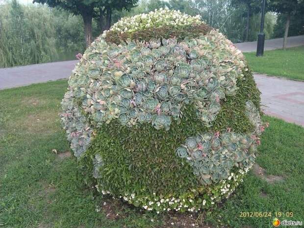 Клумба в форме футбольного мяча