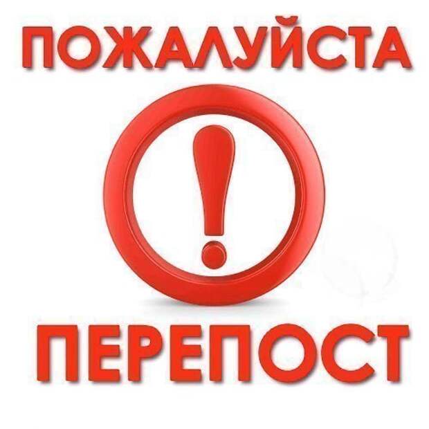 Она вышла к людям из подвала настолько истощённая, что даже мяукала без голоса...
