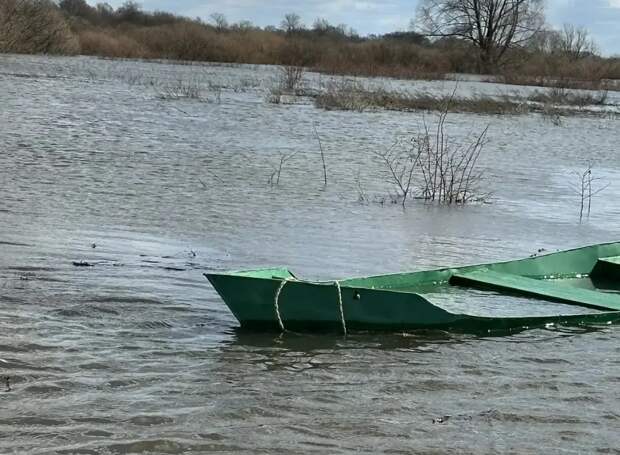 В Меленковском округе на Оке двое мужчин погибли во время рыбалки с лодки