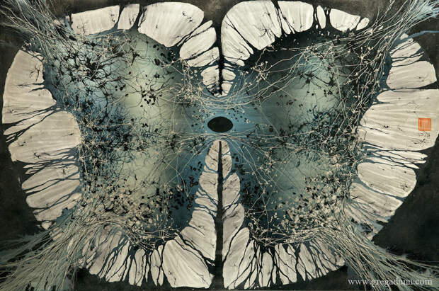spinal-cord