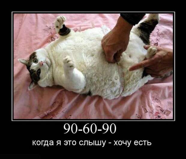 Позитивные и прикольные демотиваторы (11 фото) Позитивные и прикольные демотиваторы (11 фото)