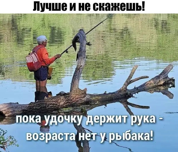 Когда уже службы доставки сделают платную опцию Когда уже службы доставки сделают платную опцию
