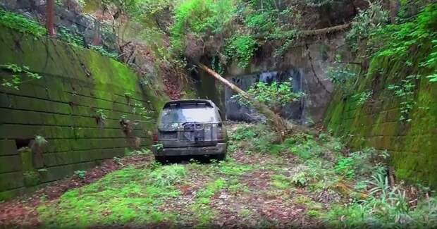Печальное зрелище: брошенный в лесу Land Cruiser весь порос мхом