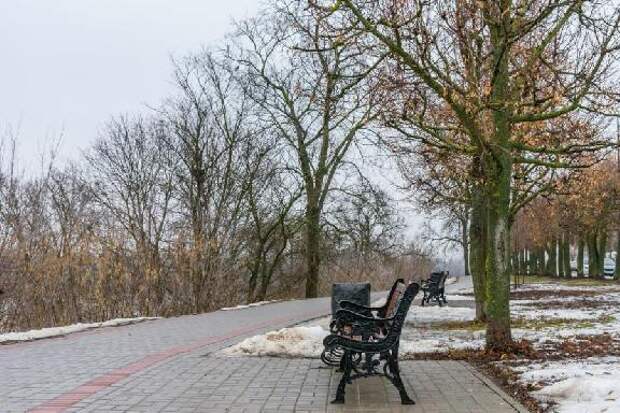 В Тамбове ожидается около +20 градусов и дожди