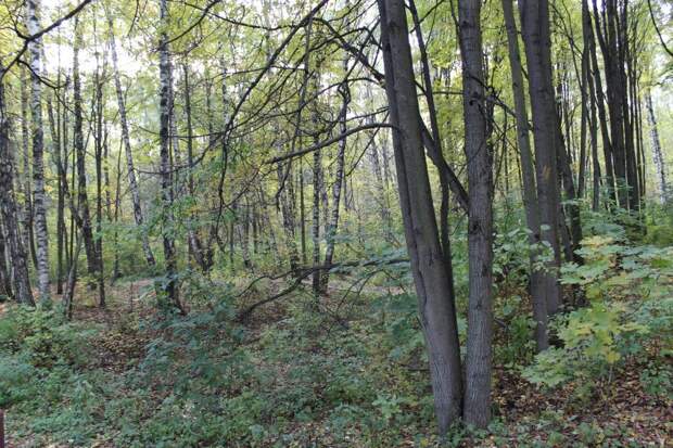 Начало экскурсии в 14.00 / Фото: Лариса Борцова, «Москва. Северо-Запад»