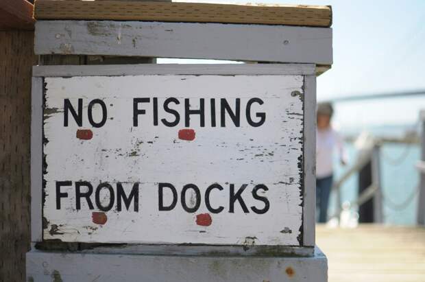 Суд Москвы признал запрещенной информацию о продаже лучных комплектов для рыбалки