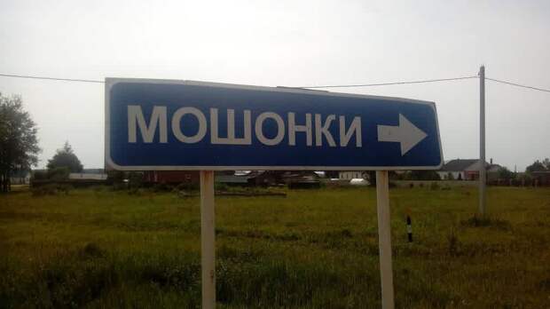 название, указатель