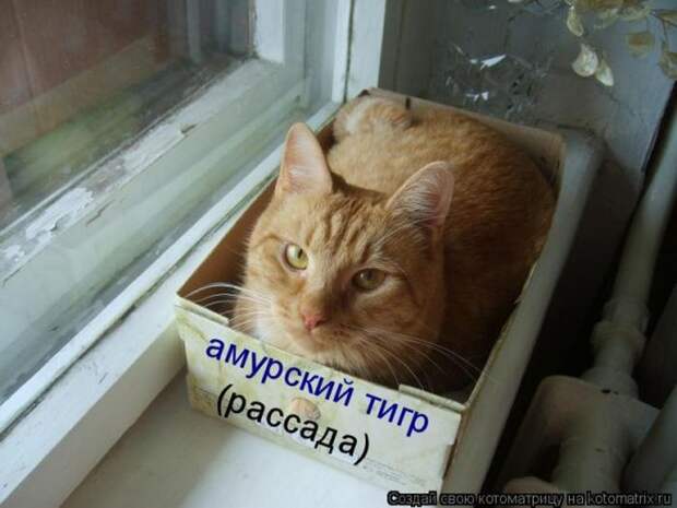 Давайте улыбаться вместе! :)