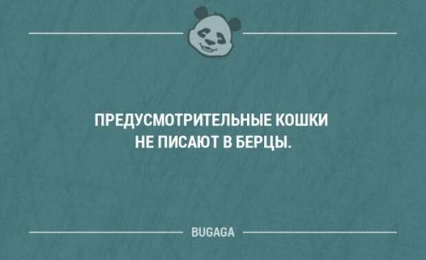 Смешные фразы и мысли со смыслом. Часть 71 (18 шт)