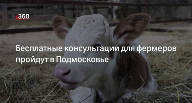 Бесплатные консультации для фермеров пройдут в Подмосковье