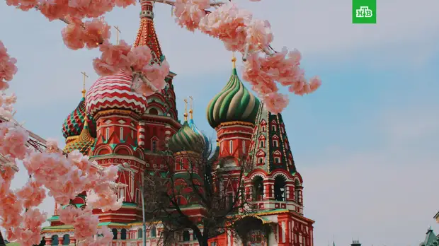 Синоптик рассказал о погоде в Москве на Первомай