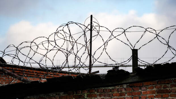 В Подмосковье мужчине дали 17 лет колонии по делу о госизмене