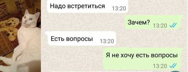 Мона+ Яндекс картинки
