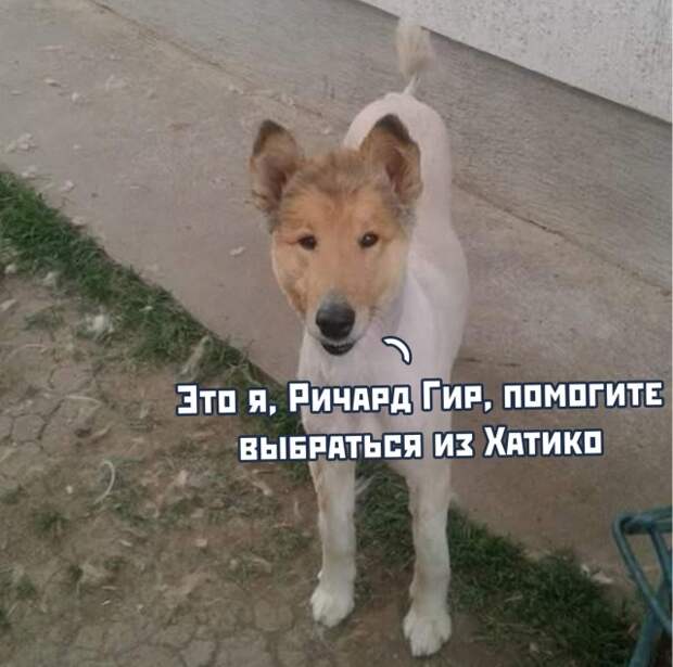 www.vsyako.net
