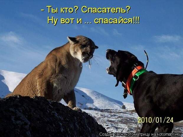 Мысли вслух :)