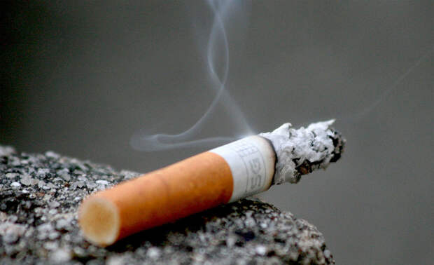 Скрытый резерв сигарет: яд, способный спасти