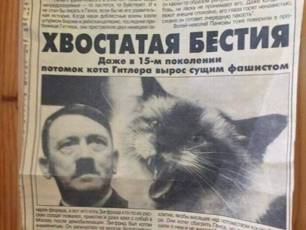 Новости, которые мы заслужили: 30+ безумных заголовков из СМИ