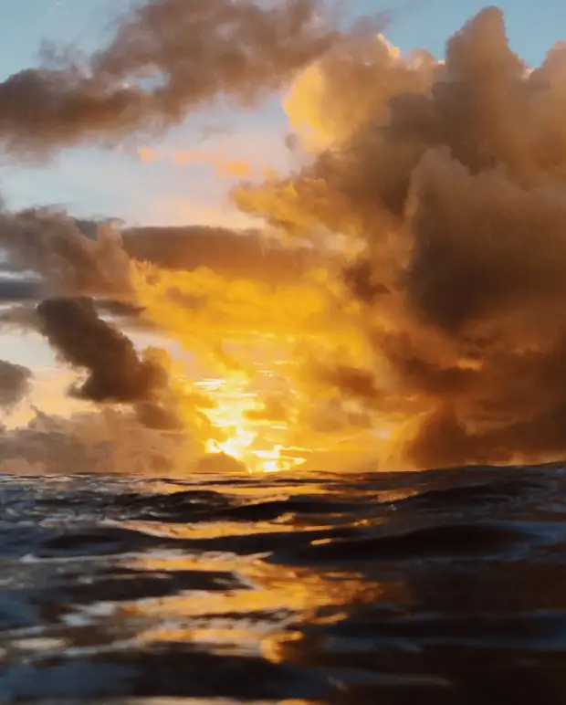 ��������� ������� ������� ����