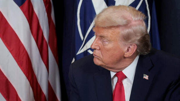 Bloomberg: "Арктический дельфин" НАТО был направлен против Трампа