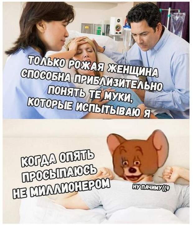 Позитивные и веселые картинки с надписью до слез (11 фото) Позитивные и веселые картинки с надписью до слез (11 фото)