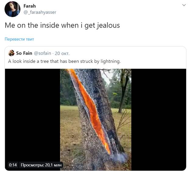 Горящее изнутри дерево