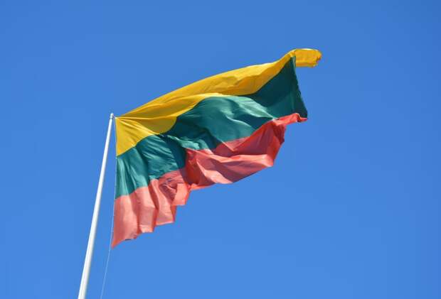 Литва по примеру Польши будет возвращать военнообязанных украинцев на родину