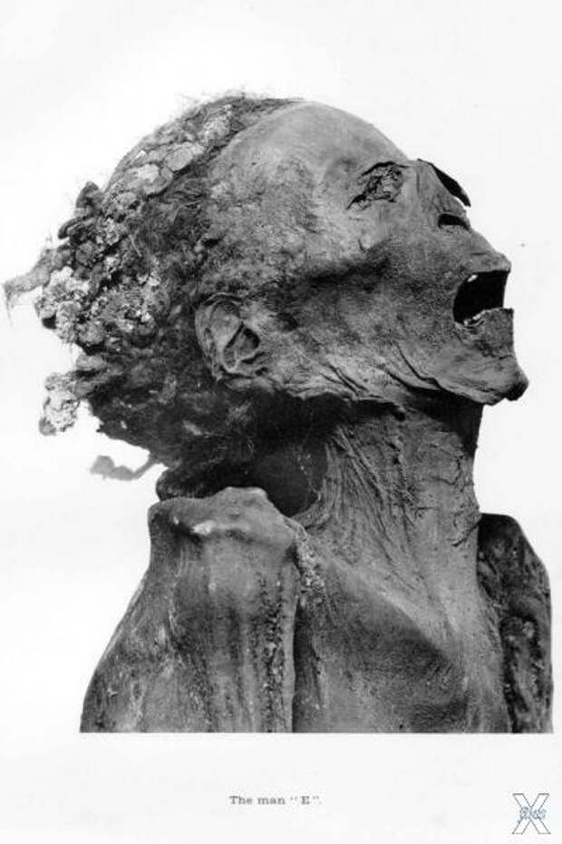 Catalogue General Antiquites Egyptien...