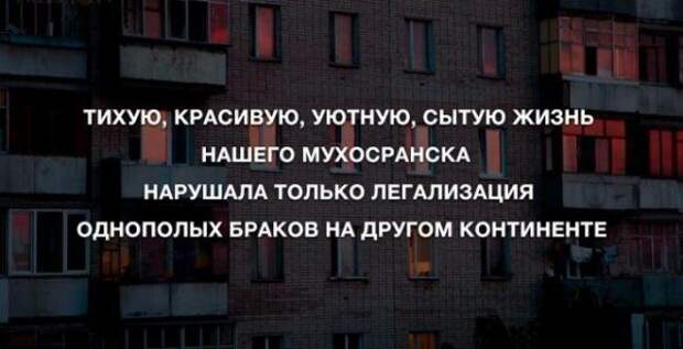 pozitiva-anekdoty-kartinki-smeshnye-kartinki-fotoprikoly pozitiva-anekdoty-kartinki-smeshnye-kartinki-fotoprikoly