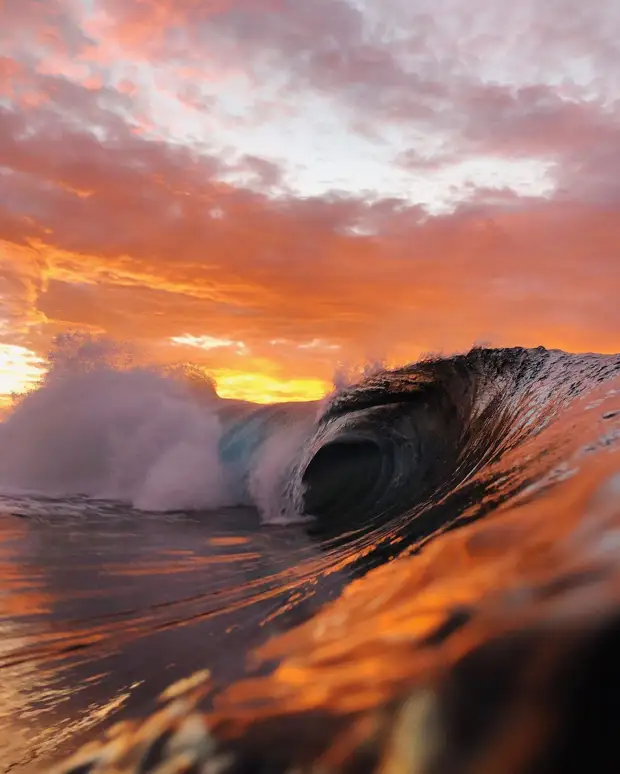 ��������� ������� ������� ����