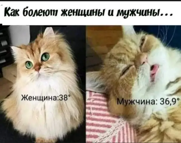 Это раньше говорили: 