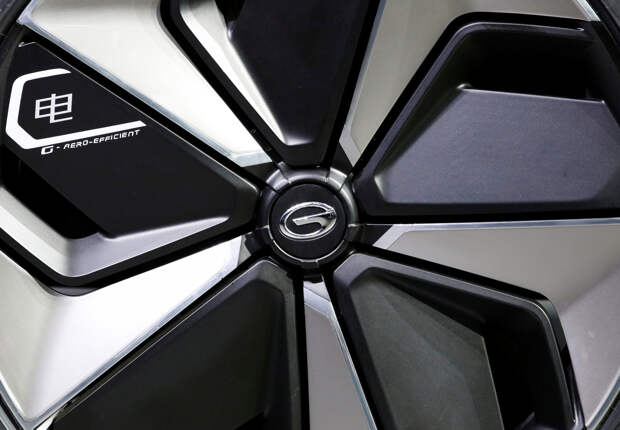 Российский дилер GAC решил подзаработать на ковриках за сотни тысяч