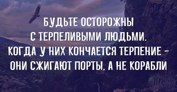 Несколько хороших фраз о правде жизни