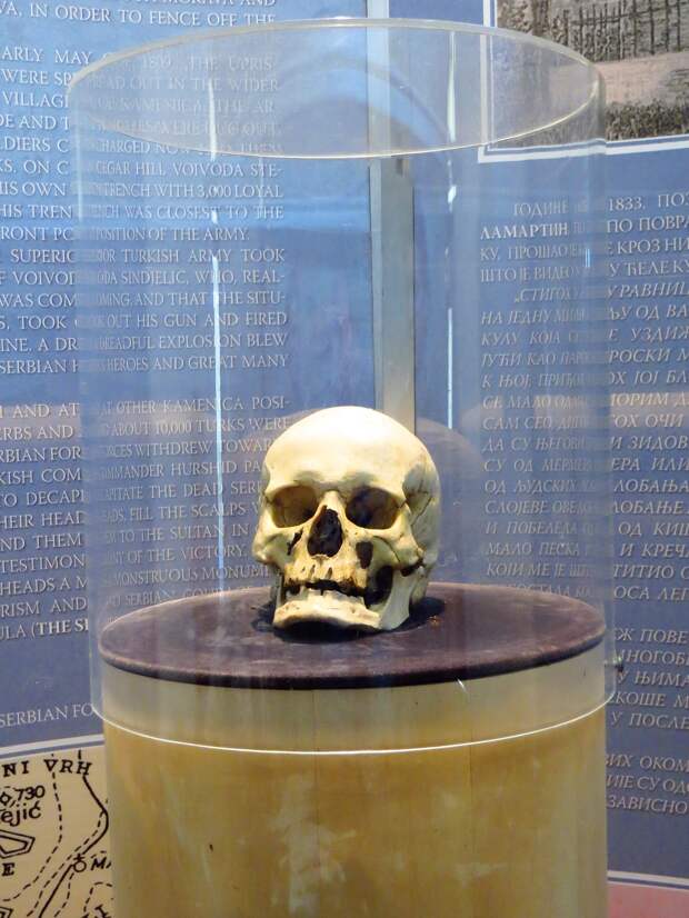 Picture © Credits to Wikimedia / J tomic m