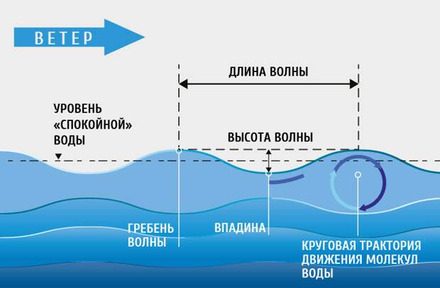 Откуда в океане появляются волны