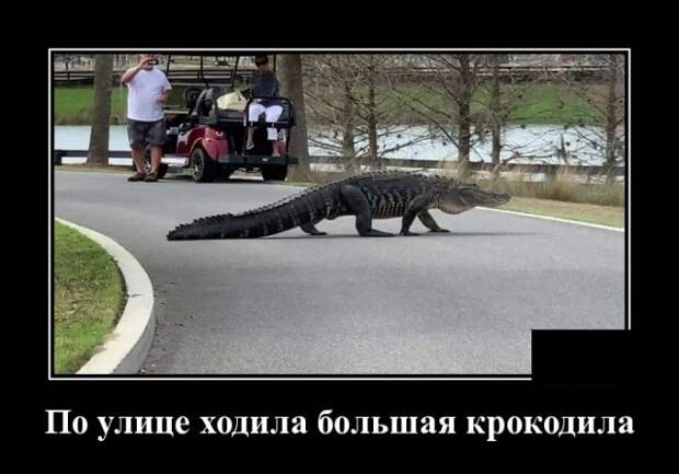 Демотиваторы (30 фото)