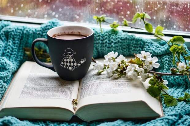 Кофе и книга. Фото: pixabay.com Кофе и книга. Фото: pixabay.com
