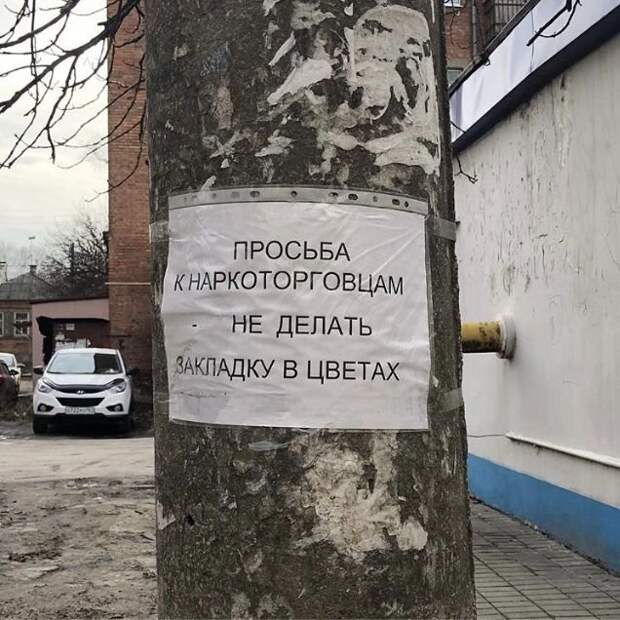 Фотоподборка четверга (55 фото)