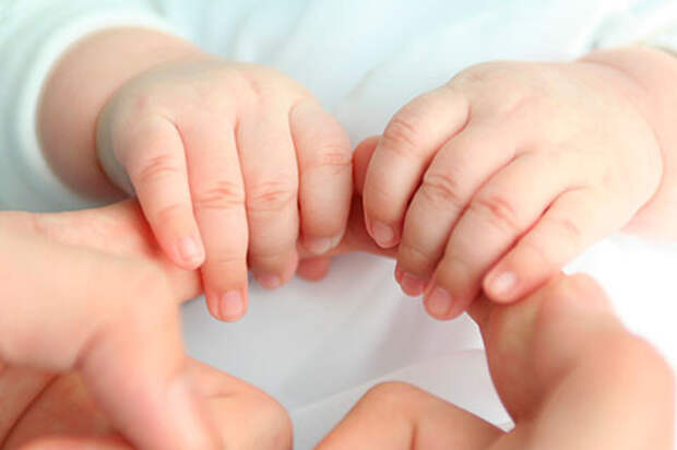 В Севастополе открыта дополнительная онлайн запись на прием по продлению пособий при рождении первенца