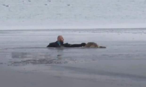 Человек в воде