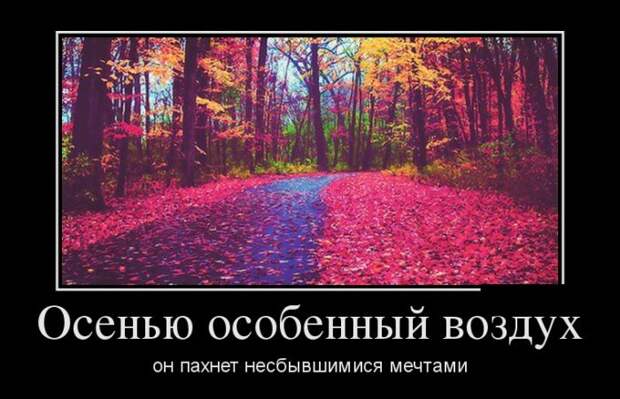 Демотиваторы (30 фото)