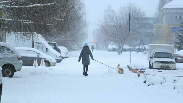 До -13. О погоде в Барнауле 3 февраля