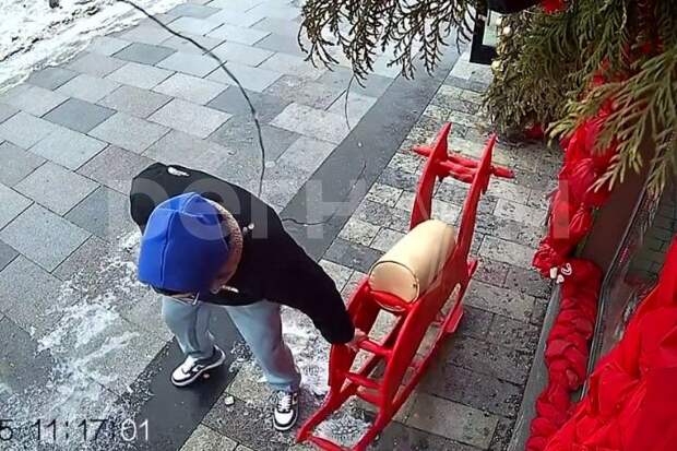 «Двойник Гуфа» украл игрушечного коня у магазина в центре Москвы