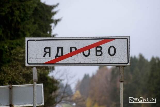 Жизнь на свалке