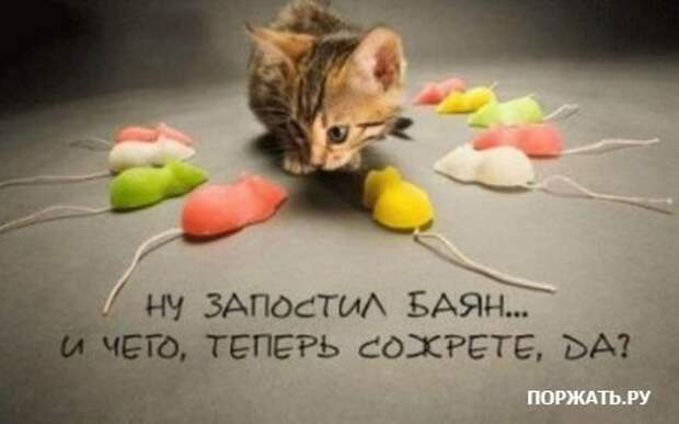 Приколы, картинки юмористические.